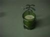 green_tropical_candle_holder_cotton_clean.jpg